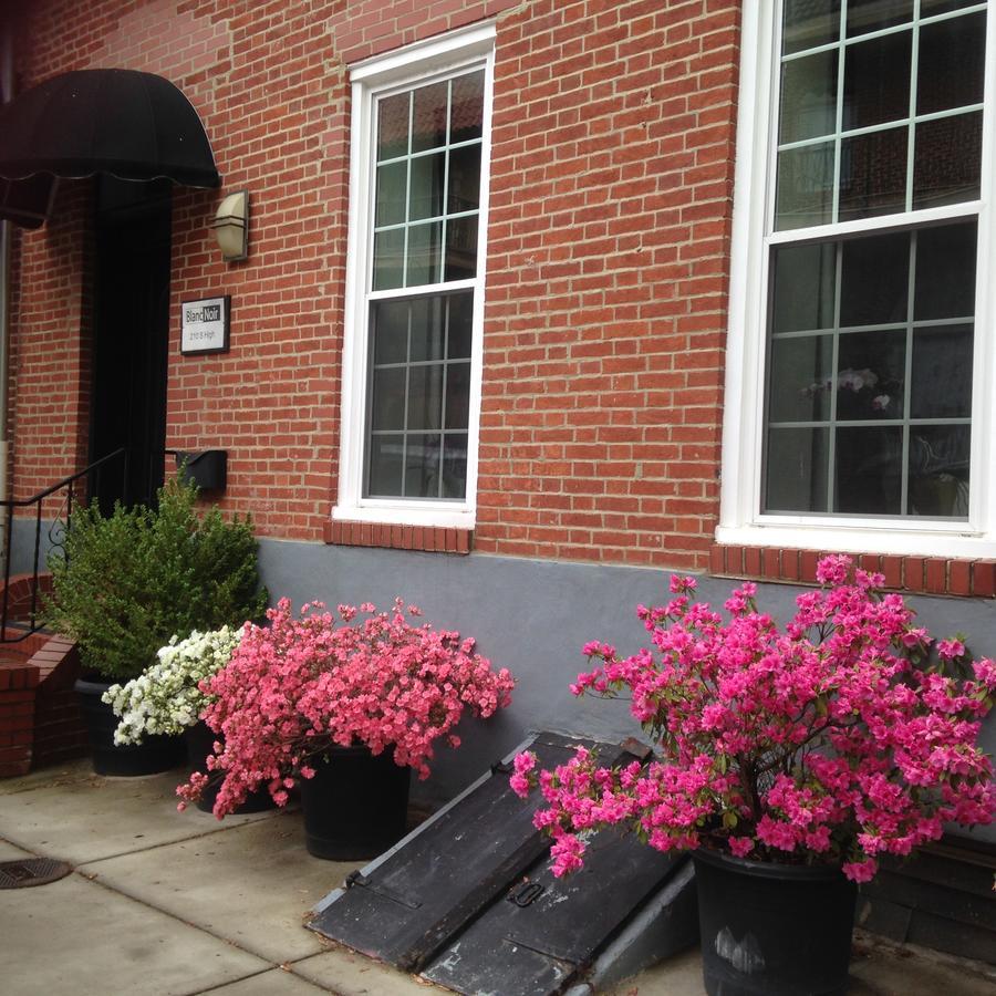 Bed and Breakfast Blancnoir Baltimore Exterior foto